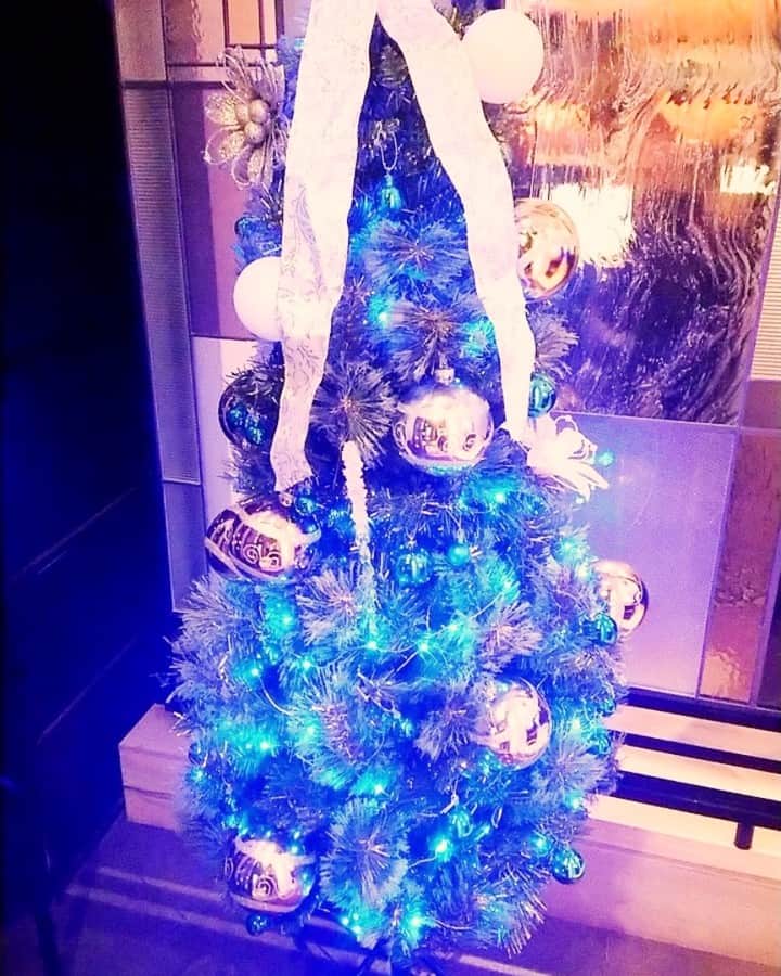 小川のおかんのインスタグラム：「【日本初！】【占い完全無料！】【スタッフ全員占い師】  だいぶ寒くなりました。 いよいよクリスマスシーズンですね。  小川のおかんもツリーを飾りました。 ブルーの光でキラキラ輝いています。 冬は、ネオンが綺麗に写りますね。  2019年もいよいよ１ヶ月ですね。 楽しいクリスマスをお迎えください。  それでは、昨日の鑑定人数です。 ()内の累計人数は、2019年7月27日から累計したものです。  鑑定人数累計  27名(2,451名) 四柱  8名(479名) タロット  12名(1022名) 手相  8名(921名) 数秘術  0名(29名)  会員No.9155迄発行しました！  本日も、ありがとうございました。  大阪心斎橋　占い無料　﻿小川のおかん  四ツ橋駅の５番出口から徒歩3分 心斎橋駅の７番出口から徒歩3分 面白そうだなと思った方は、コチラ迄お電話ください。 ↓ 06-6252-8663  ホームページ：http://xn--t8jc7h9f593thjc.com/ 食べログ：https://tabelog.com/osaka/A2701/A270201/27099746/  #小川のおかん #大阪　#心斎橋 　#占い　#占い無料　#スタッフ全員占い師　#占いバー　#バー　#タロット　#手相　#四柱推命　＃bar #難波　#占い館　#グルメ心斎橋　#グルメ四ツ橋　#グルメアメ村　#アメ村 #グルメ長堀　#fortune #teller  #居酒屋　＃uranai  #開運　＃メイク」