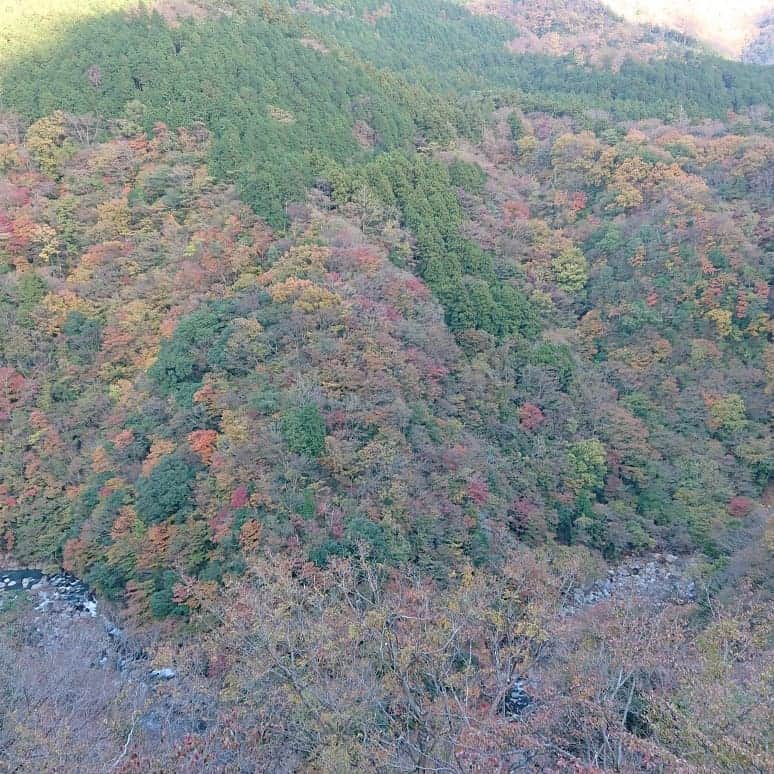 森下久美のグルメインスタ