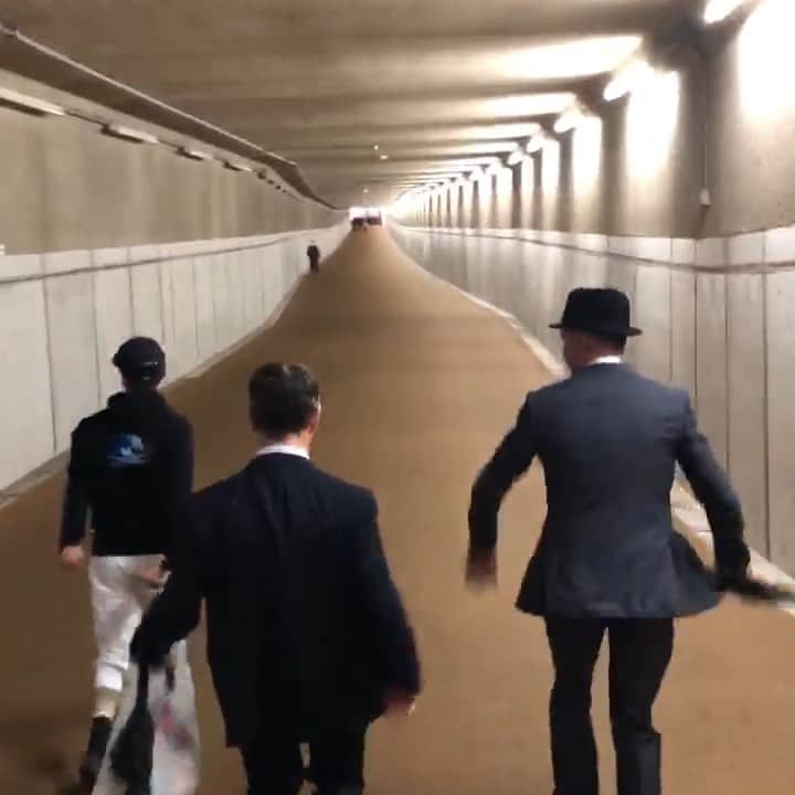 のインスタグラム：「Crazy dance in the tunnel #ルメール騎手 #jockeyshavefun#japancup#jra#dametucosita #dametucositachallenge」