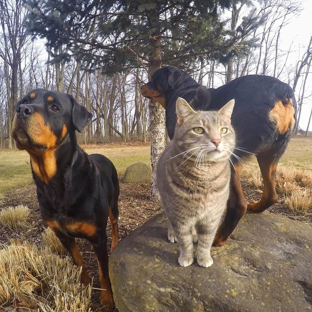 マニーのインスタグラム：「😹 Best Caption Wins 🏆」