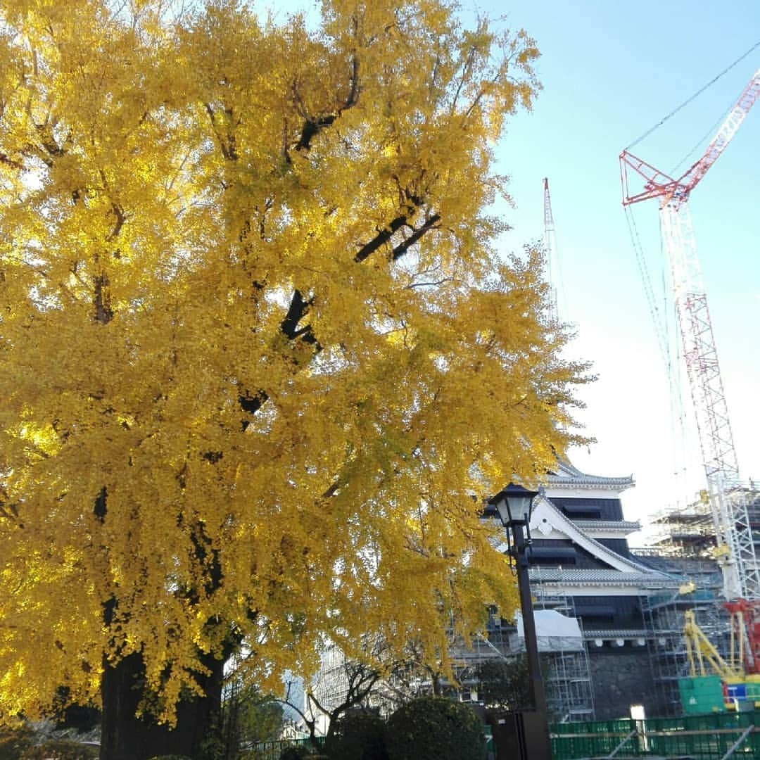 熊本城のインスタグラム