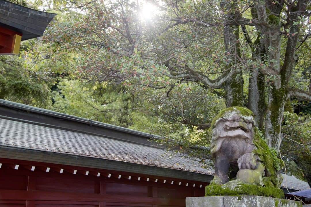 のインスタグラム：「「大國魂神社・廻廊 / Ookunitamajinjya Kairou（府中市宮町）/ (2019.10.23撮影)」 最寄駅：府中駅 　#大國魂神社　#廻廊  #府中市　#相撲場　#旧甲州街道　#Ookunitamajinjy　#Fuchiyu_city　 #beautifuldestinations #tokyotrip #tokyotravel #passionpassport #tokyojapan #instatokyo #loves_nippon #phos_japan #bestjapanpics #cooljapan #japan_of_insta #discovertokyo #photo_jpn #東京観光 #東京旅行 #illgrammers #景色 #お出かけ #東京 #Tokyo #东京 #도쿄 #tokyogood」