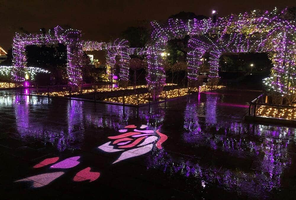 東京カメラ部 横浜分室さんのインスタグラム写真 - (東京カメラ部 横浜分室Instagram)「「スノーローズガーデンヨコハマ」 . 山下公園では初の試みとなる冬のイルミネーション「スノーローズガーデンヨコハマ」が開催中です。バラの庭園に光が織りなす幻想的な光のイルミネーションをぜひ楽しみに行ってみてはいかがでしょうか。 . 「スノーローズガーデンヨコハマ」 ～2019年12月27日(金) . みなとみらい線公式Facebook「わたしの横浜4.1キロさんぽ」で横浜の魅力を発信中！ そちらも是非ご覧下さい！<PR> . #みなとみらい線フォト散歩 #みなとみらい線フォトさんぽ #みなとみらい線 #横浜 #新高島 #みなとみらい #馬車道 #日本大通り #元町中華街 #yokohama #東京カメラ部 #Japan #photo #写真 #日本 #山下公園 #snowrosegarden #横浜夜景 #イルミネーション #バラ #光 #コラボレーション #デートスポット #お出かけ #休日の過ごし方 #癒しの時間 #japan_night_view #yakei_luv #lovejapan #myyokohama」11月29日 17時00分 - tcc.yokohama