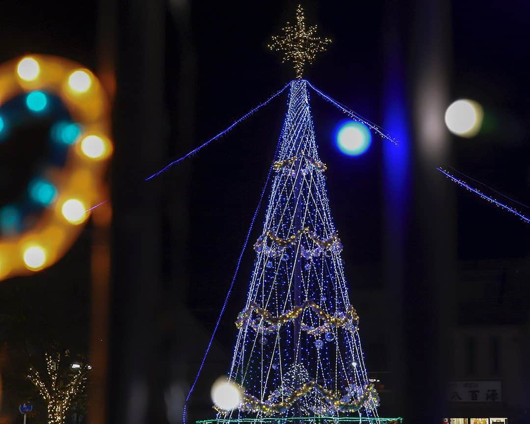 愛知県田原市さんのインスタグラム写真 - (愛知県田原市Instagram)「What is your favorite Christmas song? みんなのクリスマスソングといえば、何？  #イルミネーション#師走#クリスマス#やっぱり私は#雨が夜更け過ぎに雪に変わるやつだなあ#クリスマスソング#イルミネーション見ながら聞きたいよね #たはら暮らし *  #渥美半島#田原市#田原#伊良湖岬#伊良湖#赤羽根 #tahara#irago#akabane #サーフィン#surfing#田舎暮らし#日々の暮らし#休日の過ごし方#スローライフ#instagramjaran#igersjp#scenic_jp#菜の花浪漫街道」11月29日 17時27分 - tahara_kurashi