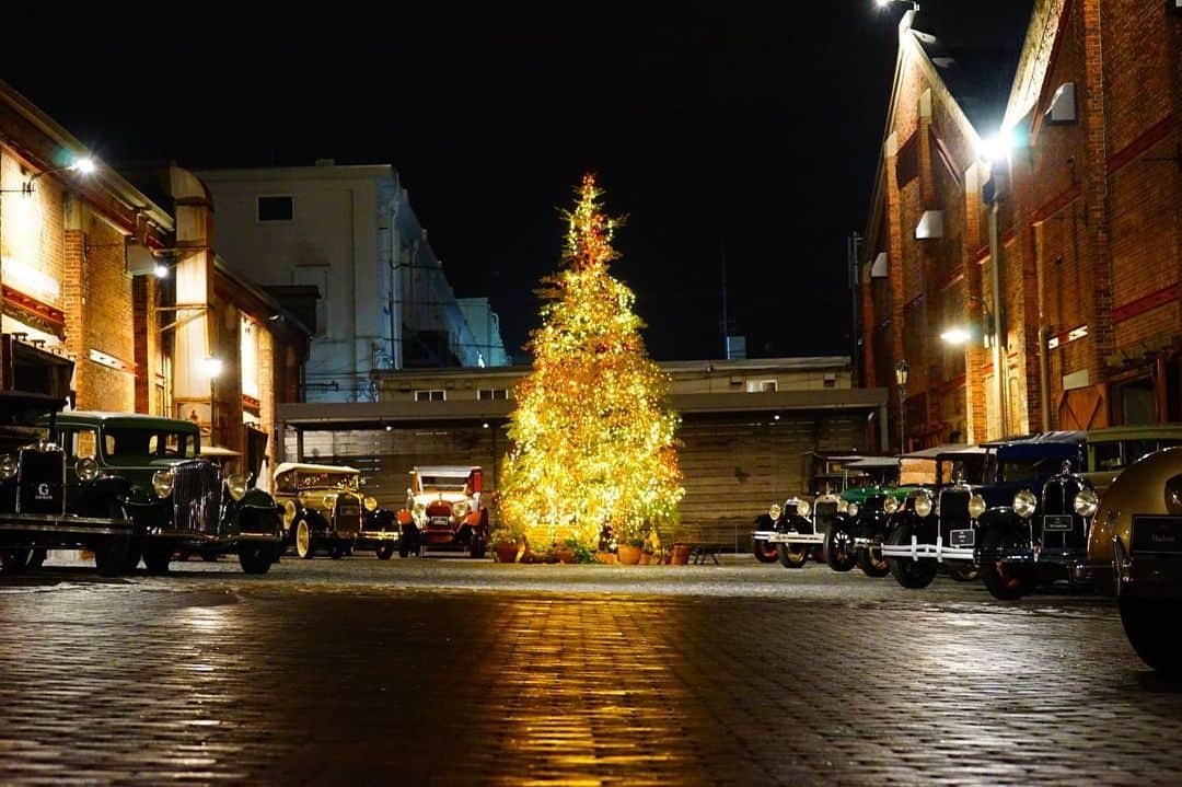 GLIONMUSEUM（ジーライオンミュージアム）さんのインスタグラム写真 - (GLIONMUSEUM（ジーライオンミュージアム）Instagram)「2019/11/29﻿ ﻿ 大阪の赤レンガ倉庫のツリーも点灯しており、暗くなるのが早くなった最近はより一層雰囲気のある場所になりました✨﻿ ﻿ #akarengasteakhouse と #lavie1923 では、それぞれ特別なクリスマスのコースをご案内させて頂いております。﻿ ステーキとフレンチ、どちらも素敵な時間をお過ごし頂けること間違いなし。﻿ 期間限定ですので、各アカウントにて詳細をお確かめくださいませ！﻿ ﻿ @akarenga_steak_house ℡ 06-6573-3100﻿ ﻿ @lavie_1923 ℡ 06-6573-3110﻿ ﻿ ﻿ GLION MUSEUM(ジーライオンミュージアム)﻿ 大阪市港区海岸通り2-6-39 ﻿ TEL:06-6573-3006﻿ HP https://glion-museum.jp/﻿ ﻿ 平日 11:00～20:00(最終入館19:30)﻿ 土日祝日 10:00～20:00(最終入館19:30)﻿ 月曜定休※祝日の場合翌日﻿ ﻿ Adress ﻿ 2-6-39 Kaigan-dori, Minato-ku, Osaka-shi﻿ TEL﻿ 06-6573-3006﻿ ﻿ Opening Hours: 11:00-20: 00 (Weekday) / 10: 00-20: 00 ﻿ (Saturday, Sunday and Public Holiday)﻿ ﻿ Closed: Monday﻿ ﻿ ﻿ #glionmuseum﻿ #ジーライオンミュージアム #大阪築港赤レンガ倉庫  #クラシックカー  #carphotos  #lifestyle  #vintage  #vintagecars  #天保山  #大阪港  #redbrick  #warehouse  #ヴィンテージ  #車 #赤レンガ  #赤レンガ倉庫 #historiccars #ig_japan﻿ #車のある風景﻿ #illumination﻿ #イルミネーション﻿ #クリスマスディナー﻿ #クリスマスツリー﻿ #Christmas #フレンチ #ステーキ #大阪グルメ #大阪ディナー」11月29日 17時34分 - glionmuseum