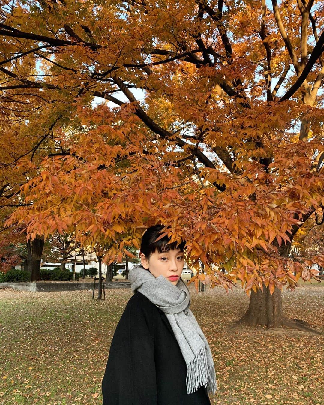 る鹿さんのインスタグラム写真 - (る鹿Instagram)「Hello Osaka  Bye bye Osaka 🧏‍♀️ 仕事で日帰り大阪🪐 素敵な紅葉を発見🍁」11月29日 17時54分 - luluxinggg