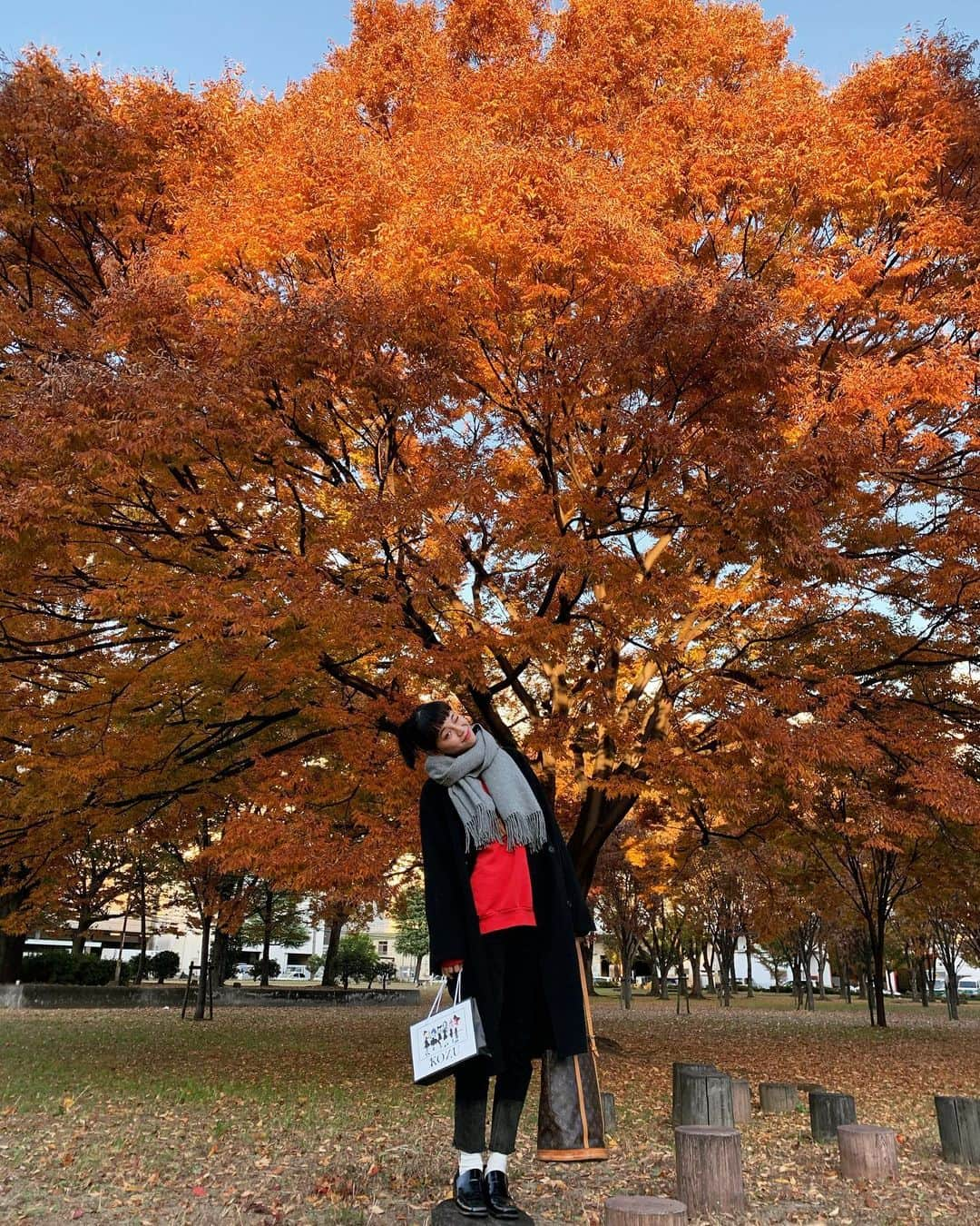 る鹿さんのインスタグラム写真 - (る鹿Instagram)「Hello Osaka  Bye bye Osaka 🧏‍♀️ 仕事で日帰り大阪🪐 素敵な紅葉を発見🍁」11月29日 17時54分 - luluxinggg