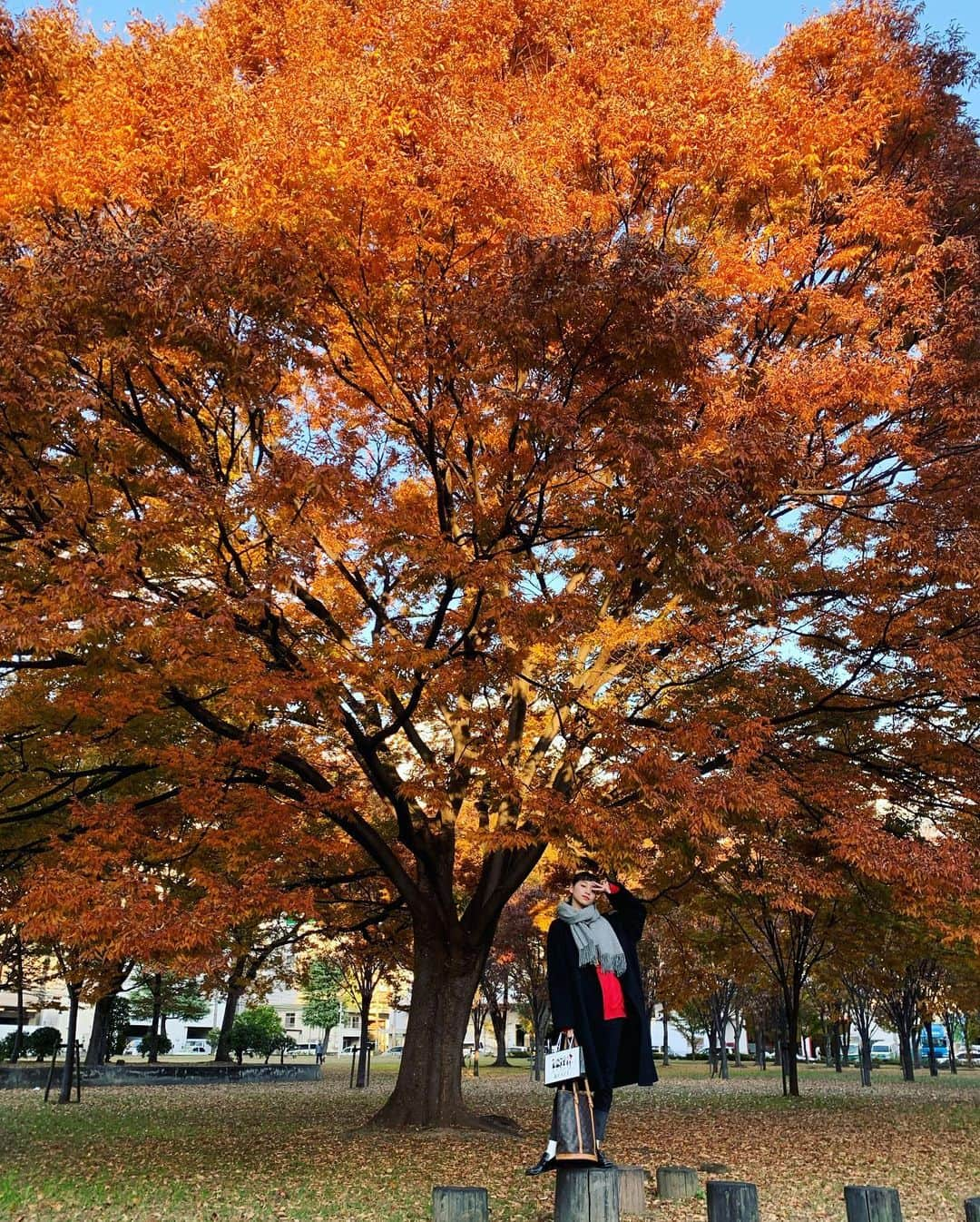 る鹿さんのインスタグラム写真 - (る鹿Instagram)「Hello Osaka  Bye bye Osaka 🧏‍♀️ 仕事で日帰り大阪🪐 素敵な紅葉を発見🍁」11月29日 17時54分 - luluxinggg