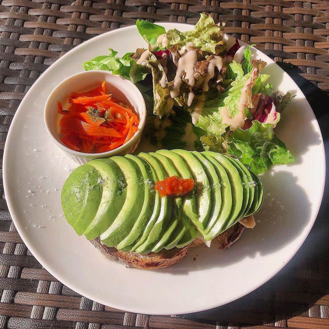 LeTRONC ルトロンのグルメインスタ