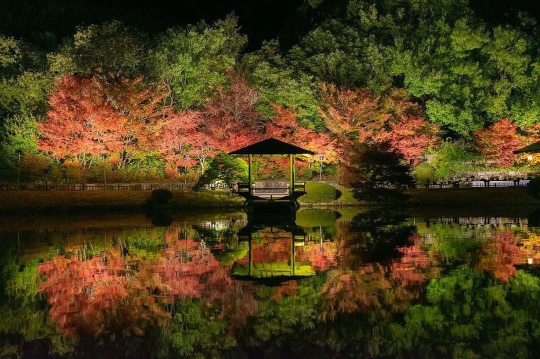 楽天トラベル さんのインスタグラム写真 - (楽天トラベル Instagram)「#広島 #三景園 三景園は、広島空港開港を記念して造られた面積約６ヘクタールの築山池泉回遊式庭園です。 園内のもみじ谷には、イロハモミジ、ヤマモミジを中心に約150本のモミジが色鮮やかに色づきます。 こちらは先日のもみじライトアップのお写真です。 . Special Thanks💓 📸Photo by @niko53_t . ************************ 旅先で撮った素敵な写真に 場所とともに #rakutentravel を付けてシェアしてね♪ 厳選してこのアカウントで紹介させていただきます！ ************************ . #楽天トラベル #旅 #旅行 #旅に出よう #旅行好きな人と繋がりたい #日本 #紅葉 #広島旅行  #travel #trip #japan #instagramjapan #IG_JAPAN #japantrip #lovetraveling #lovers_nippon  #hiroshimatrip」11月29日 18時00分 - rakutentravel