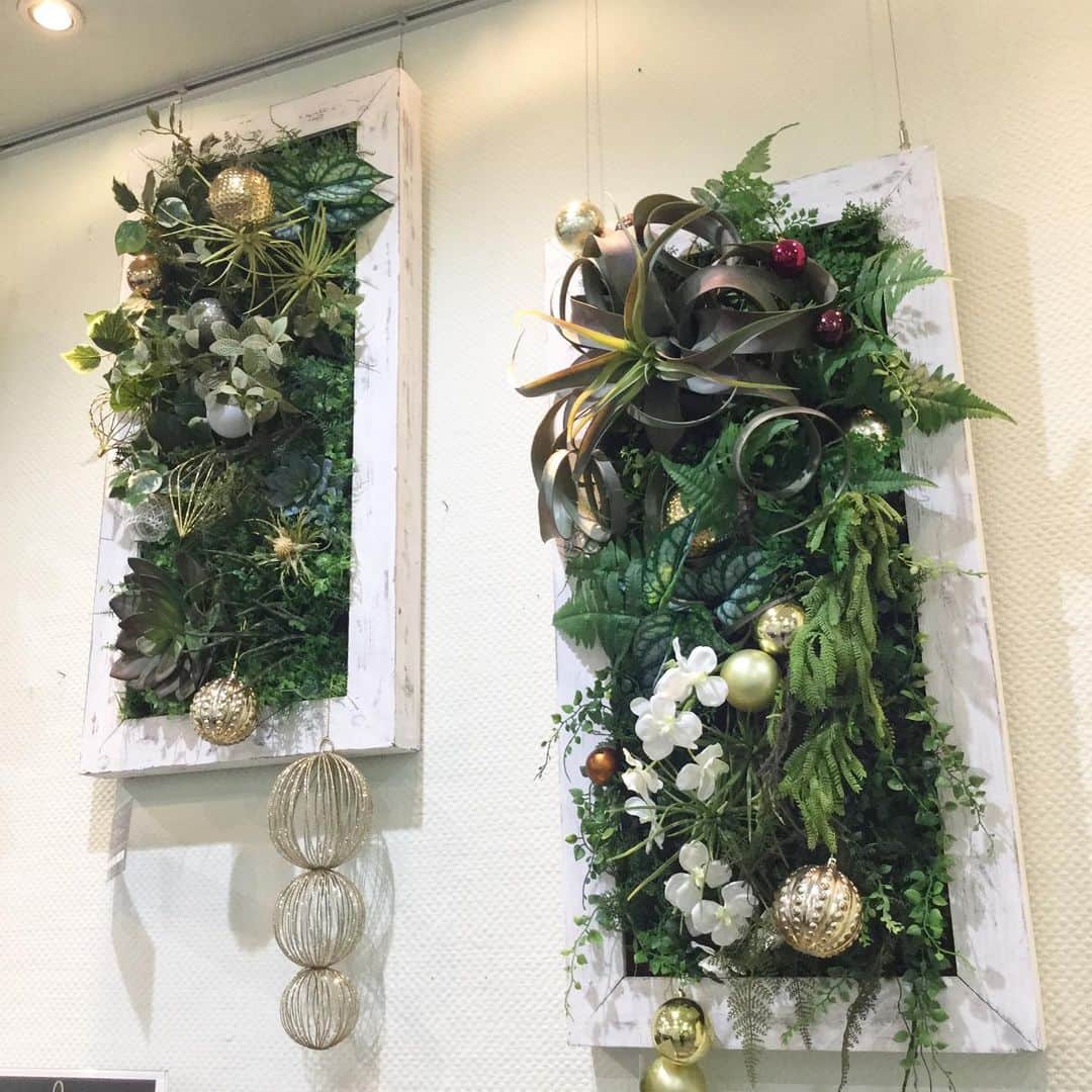 横浜ディスプレイミュージアムのインスタグラム：「クリスマスのウォールデコレーションにグリーンをあしらった大きなフレームはいかがですか。 店舗2階の通路に飾っております作品を展示期間終了につき、5作品のみ限定販売いたします。 クリスマスオーナメントを取り外せば一年中飾っていただけます！ 横浜店にてお持ち帰り頂ける方への販売です。 お渡し価格¥18000〜  横浜ディスプレイミュージアム #株式会社ポピー #横浜 #ディスプレイ#アーティフィシャルフラワー #フラワーアレンジメント #フラワーデザイン #インテリア雑貨 #インテリア#インテリアコーディネート#スタイリスト#装飾#デコレーション#しめ縄#正月#花のある暮らし #花好きな人と繋がりたい #display #yokohama #flowerarrangement #interiordesign #artficialflower #flowerstagram」
