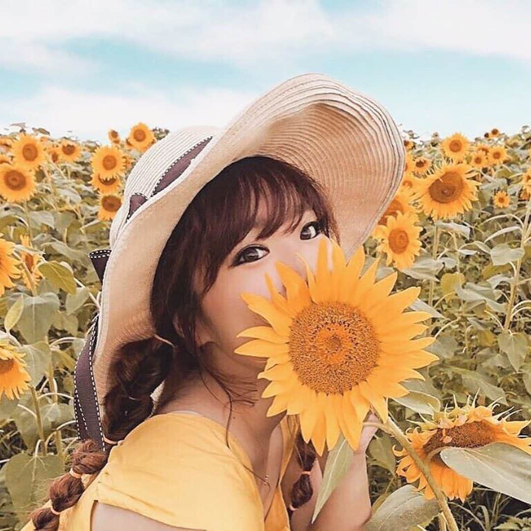 pomeloさんのインスタグラム写真 - (pomeloInstagram)「Follow @aigram.57 to get more photos about Japanese scenery!  Swipe left to see more.  Have a nice day!  #pomelocamera #pomeloapp #photographer #autumn #fall #photography #yellow #sunshine #sun #pomelocam #leaf #sunflower #sky #flower #sunny」11月29日 18時54分 - pomelocam
