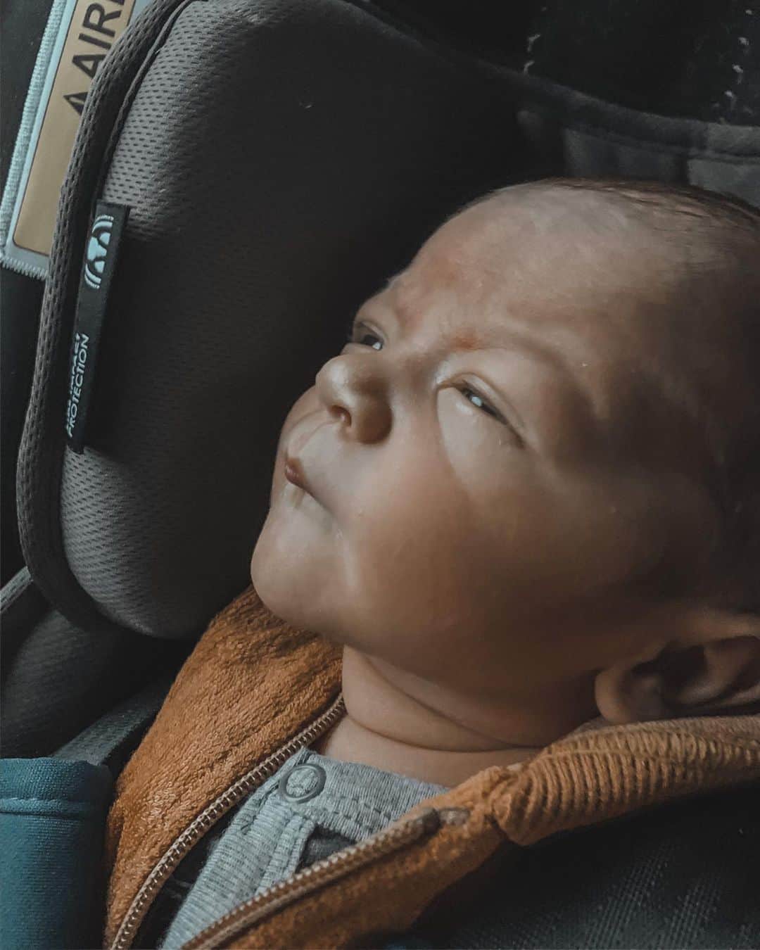 のインスタグラム：「To 💩 ... Or not to 💩 ? #babyshakespeare」