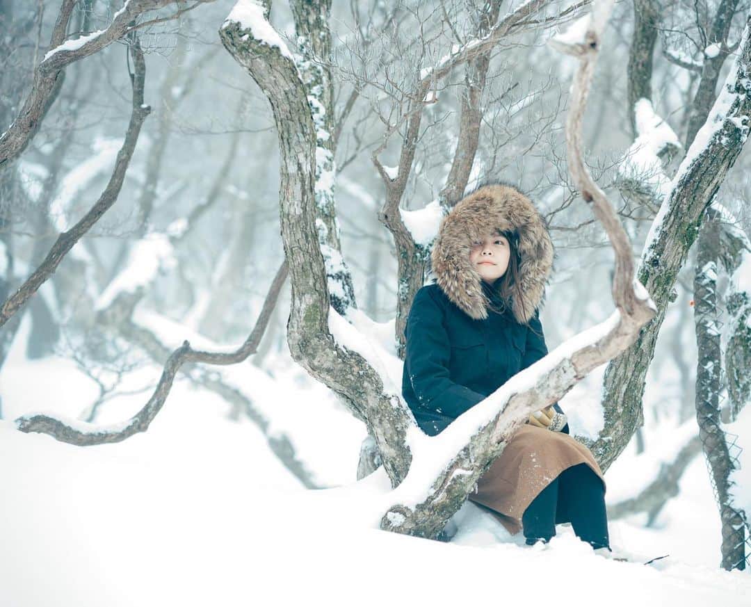 haraoのインスタグラム：「雪山の季節🏔」