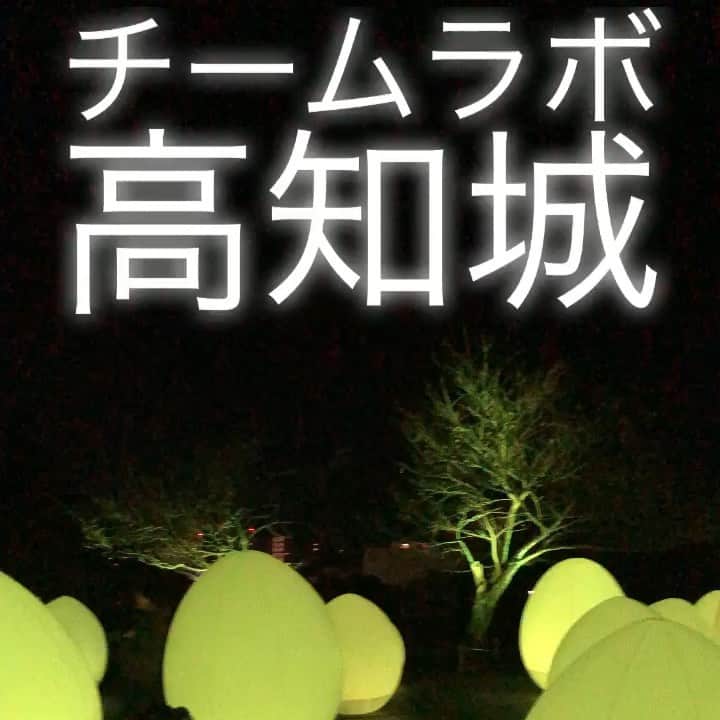 のインスタグラム：「#チームラボ せめてもの予選落ちの癒し」