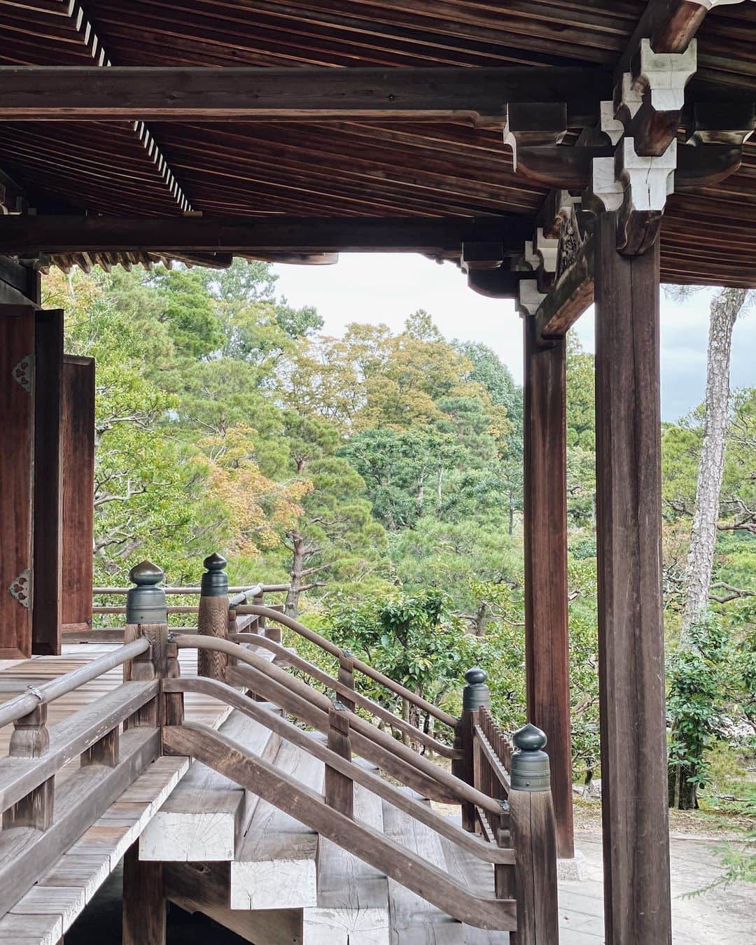 のインスタグラム：「📍仁和寺  #kyoto #temple #ninnaji #ninnajitemple #京都 #弾丸京都 #京都旅行 #そうだ京都行こう  #仁和寺 #仁和寺庭園 #仁和寺五重塔 #五重塔」