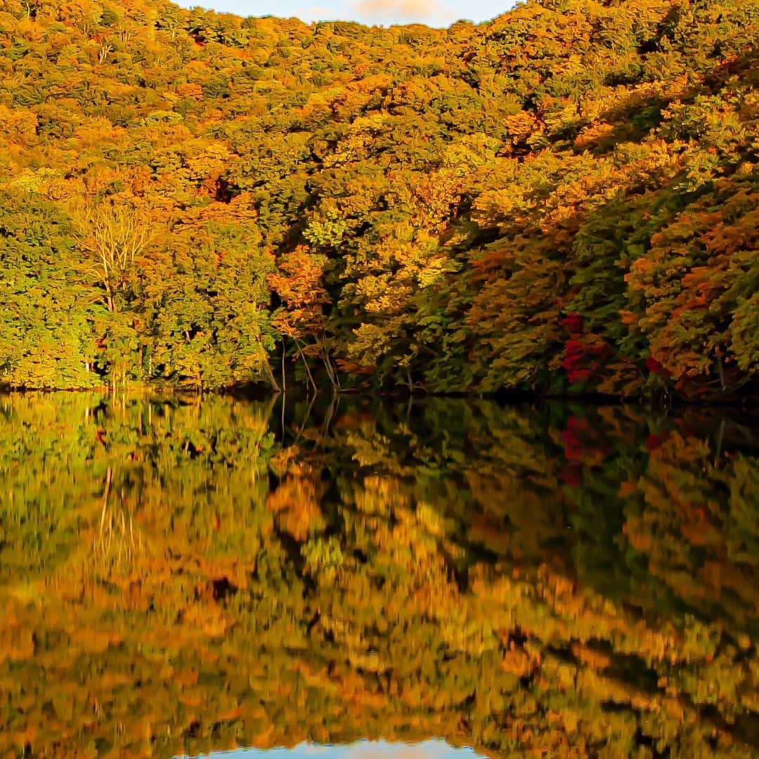 tomohiro koshikaのグルメインスタ