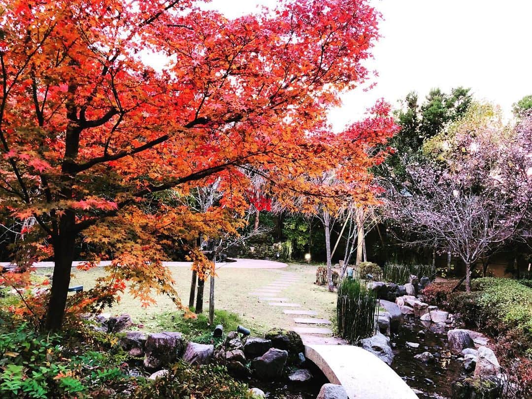 桜鶴苑のグルメインスタ