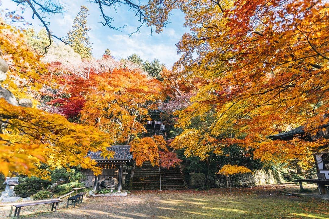 京都いいとこフォトさんのインスタグラム写真 - (京都いいとこフォトInstagram)「. 小塩山 金蔵寺。 山奥のひっそりとした古刹ですが、 境内いっぱいに咲くような紅葉があなたを迎えてくれます。 . Konzo-ji Temple in Oshioyama. It is a quiet old tomb in the mountains, The autumn leaves that bloom in the precincts will greet you. . . .  Date : 2019.11.24 Location : #Konzoji #金蔵寺 Photo : @hino0117 @kohei713 .」11月29日 21時42分 - kyoto_iitoko
