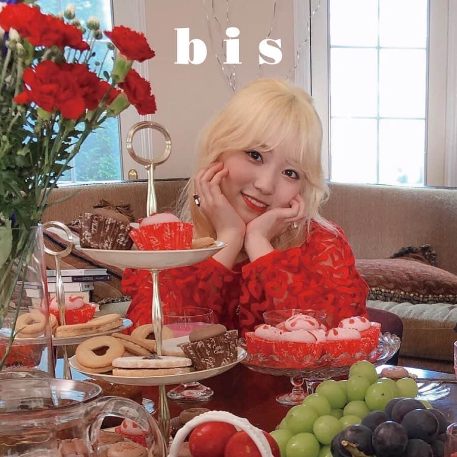 bis_web bis [ビス] のインスタグラム