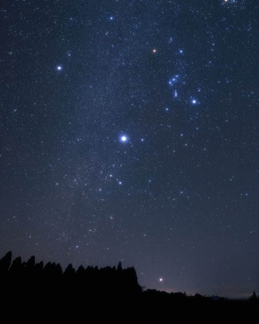 KAGAYAさんのインスタグラム写真 - (KAGAYAInstagram)「冬の大三角と、低い空に輝くカノープス。 カノープスは、夜空に見える恒星のうち、シリウスに次いで２番目に明るい星です。 本州では水平線ぎりぎりまでしか昇らず見づらいのですが、九州や沖縄ではこれからの季節、南の空低くに見ることができます。 （本日未明、鹿児島県にて撮影） #星空」11月29日 21時54分 - kagaya11949