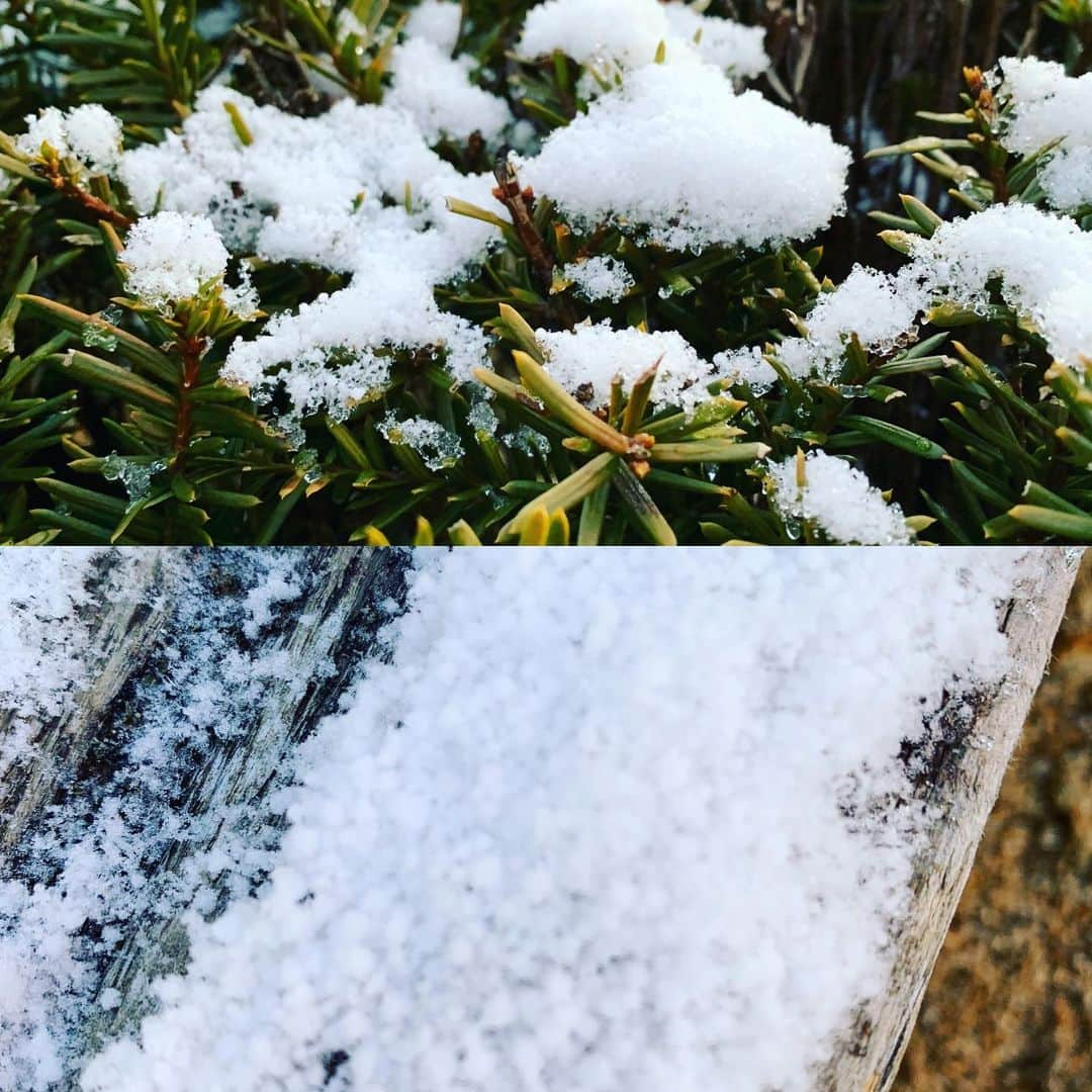 都竹悦子さんのインスタグラム写真 - (都竹悦子Instagram)「初雪！  #2019年11月30日 #飛騨高山」11月30日 8時11分 - etsukotsuzuku