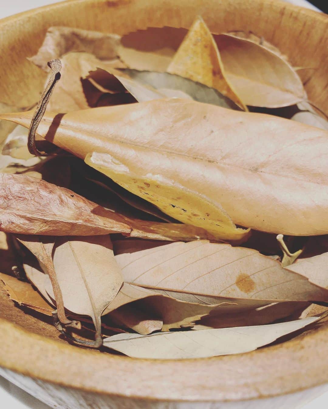 田中ウルヴェ京さんのインスタグラム写真 - (田中ウルヴェ京Instagram)「実家から徒歩5分の白金台のミシュラン⭐️ ルカンケのランチ。 良いお食事のおかげで良い話ができました。相手と写真撮るの忘れたけど。 #ルカンケランチ #白金台」11月30日 8時15分 - miyako.tanaka.oulevey