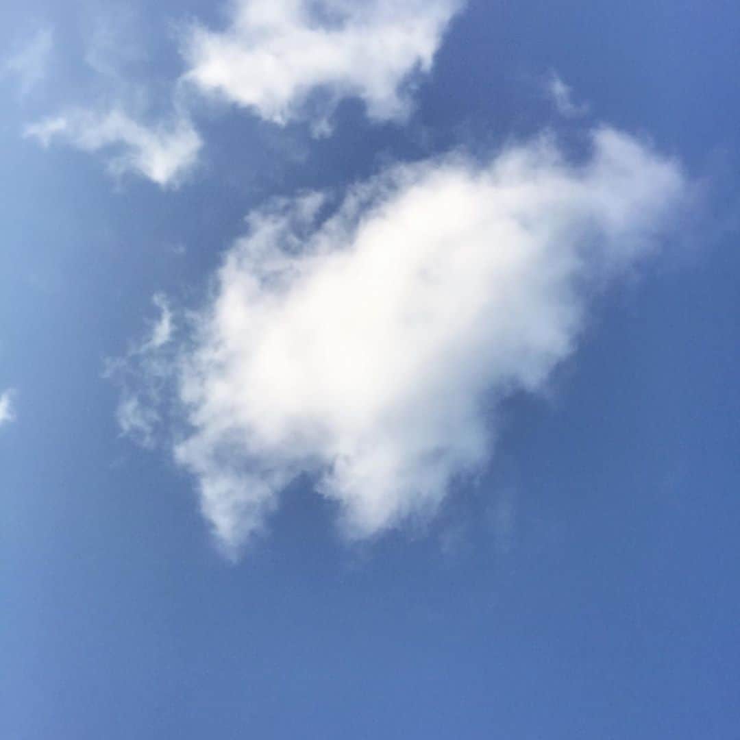 佃井皆美さんのインスタグラム写真 - (佃井皆美Instagram)「光合成が必要だ。  #晴れたから外でごはん #さみー #ロンドン」11月30日 0時48分 - minamitsukui