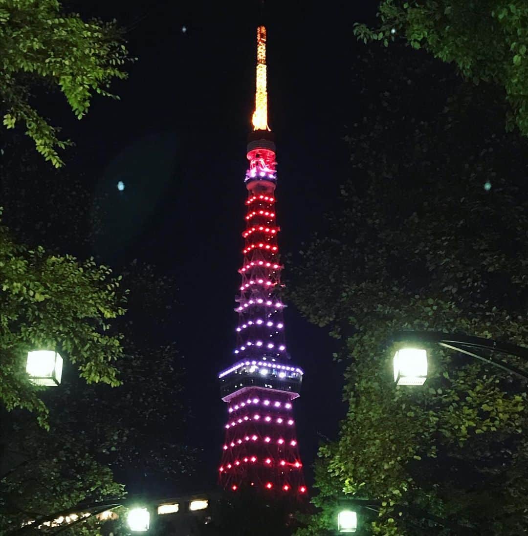 紫苑みやびさんのインスタグラム写真 - (紫苑みやびInstagram)「🗼東京タワー🗼がいつもと違う照明だったよ〜  #東京タワー #夜景　#tokyo #tokyotower🗼#楽天トラベル2019ベストトリップ」11月30日 1時57分 - shion_miyabi