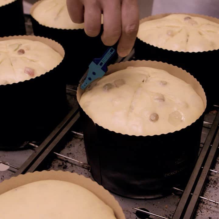 のインスタグラム：「Lined up one by one, the panettoni are ready to be put into the oven, rising to their magnificent glory and delectable taste.  @fiasconaro_srl #DGPanettone #Fiasconaro #DGFattoAMano」