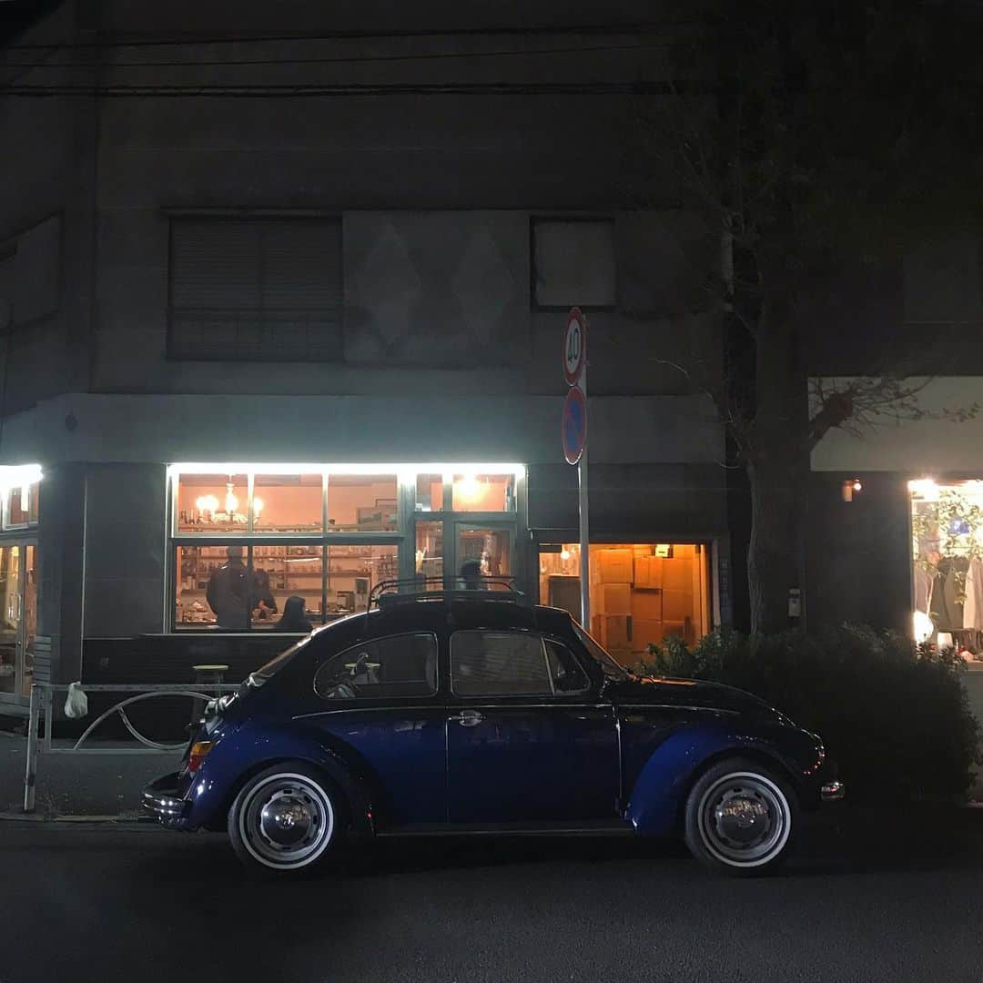 のインスタグラム：「もう冬ね ブルービー」