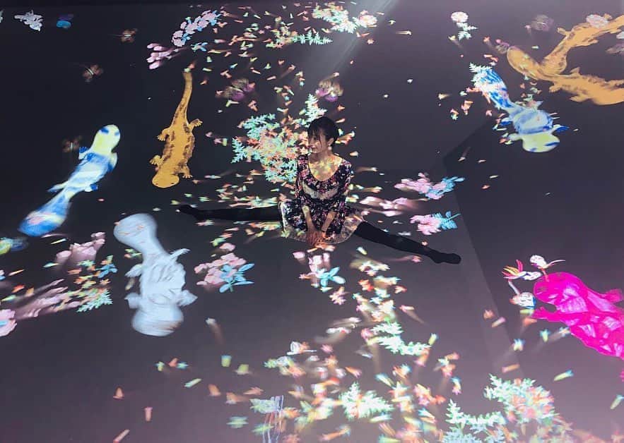 奈々子のインスタグラム：「『学ぶ未来の遊園地、花と共に生きる動物達』 #チームラボ in 名古屋♡ 一足お先に内覧会へ♪ . 11/30〜2/16 までの特別展☆ 名古屋市科学館にて開催されます（≧∇≦）寒い季節も屋内でポカポカ 子どもも大人も楽しめる空間でした。(*^_^*) 写真撮るならコートや手荷物は館内のロッカーに入れておくのがオススメ^_−☆ . ここは山と谷 たくさんの動物たちが動いてるスポット♪ 奈々子も開脚して一体化♡ . . #チームラボ名古屋 #名古屋市科学館 #開脚マッピング #teamlab」