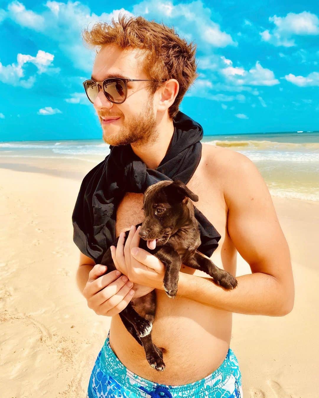 のインスタグラム：「found this cute little puppy on the beach in tulum 😍」
