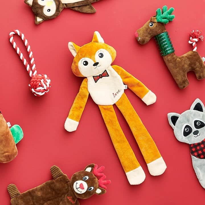 ロック&リパブリックのインスタグラム：「When it comes to your pet, there’s no such thing as a naughty list. 😻 Shop the new pet collection from Ellen DeGeneres for even more ways to spoil your pets. #Kohls #EDEllenDeGeneres #EDPets」