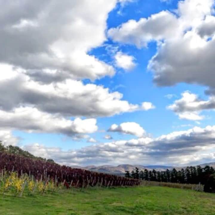 mori_no_tsukueのグルメインスタ