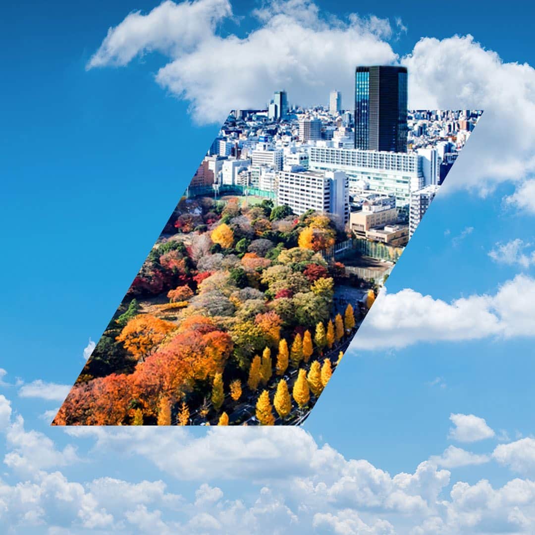 All Nippon Airwaysさんのインスタグラム写真 - (All Nippon AirwaysInstagram)「There’s something magnificent when nature and architecture blend together, don’t you agree? Plus, #Autumn only makes it more amazing! 🏙️🍂」11月30日 6時43分 - allnipponairways