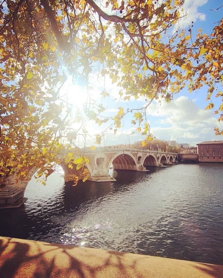 のインスタグラム：「Pont-Neuf de Toulouse🍁🍂🍁 . . . . 只今渡仏中🇫🇷トゥールーズは紅葉が綺麗です🍁 . . . . #toulouse #pontneuf #pontneuftoulouse #lautomne #autumn #francetravel #トゥールーズ #フランス旅行 #紅葉 #gopro #goprolife」