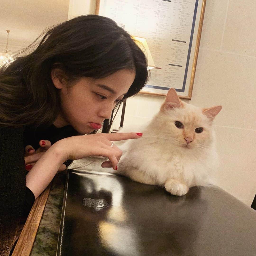 Nanaさんのインスタグラム写真 - (NanaInstagram)「Cutie pie inPARIS’ 😻」11月30日 6時56分 - nanaouyang