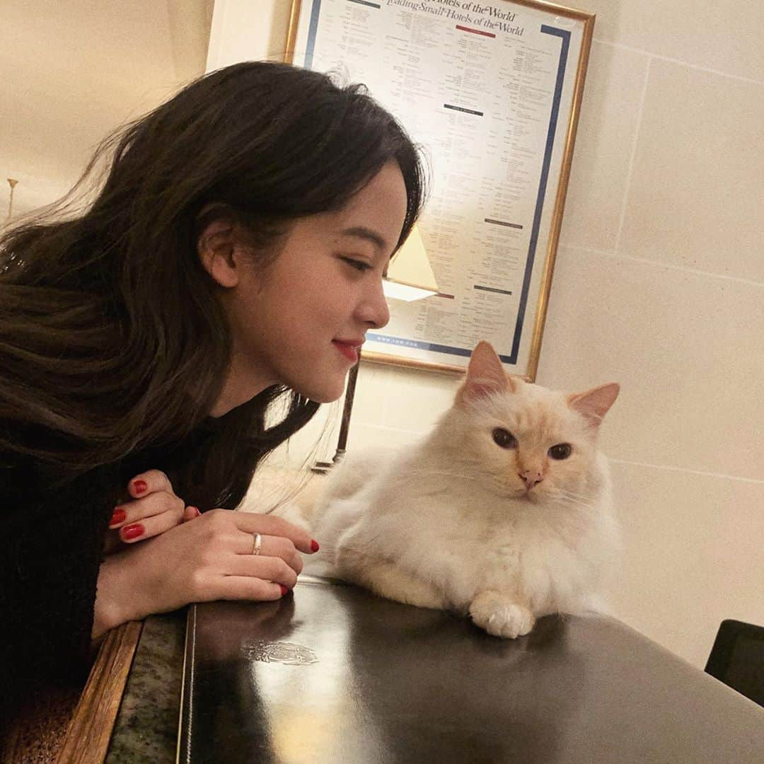 Nanaさんのインスタグラム写真 - (NanaInstagram)「Cutie pie inPARIS’ 😻」11月30日 6時56分 - nanaouyang