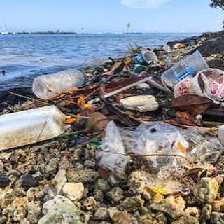 ケリー・スレーターさんのインスタグラム写真 - (ケリー・スレーターInstagram)「#Bill40 is a Honolulu City & County (Oʻahu) measure to phase out a wide-range of single-use plastics commonly used in food service (plastic straws, utensils, foam, etc.), over a two year period. While it’s convenient to have utensils and such when we can’t access our kitchen at home, the amount of extra garbage created by all of us using single use plastics over the course of a year, decade or lifetime is astounding and not something we can’t live without. Traveling across this world and to very remote locations, I’m always blown away at the amount of garbage either in the rivers in Florida, on the beaches of Hawaii, or on an atoll in the middle of the Pacific. At some point soon we need to decide en masse to start undoing this insanely huge mess we have created on earth, and bills like this are small steps in the right direction to help us all change our actions. Please support and call your local representative to voice your thoughts on this being passed in Hawaii. Here’s to hoping the next generations of kids learn from our mistakes and epiphanies and take the reigns in better directions as the future unfolds. And if you’re not in Hawaii, think about starting a movement to have this implemented in your hometown and keep @kokuahawaiifoundation, @surfrider, and @sustainablecoastlineshawaii informed on your progress!」11月30日 16時47分 - kellyslater