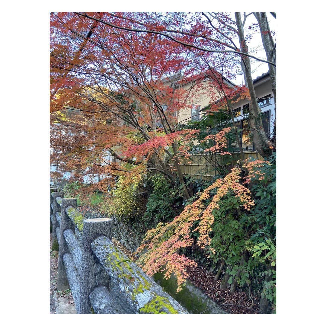 福田沙紀さんのインスタグラム写真 - (福田沙紀Instagram)「紅葉🍁  好きなグラデーションの空も見ることができた👀」11月30日 16時51分 - sakifukuda_official