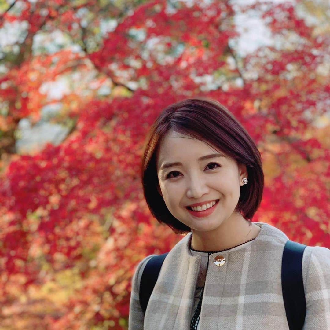 のインスタグラム：「🍁🍁🍁 色づいた葉…美しさにため息がでる。。生かされていることの感謝をお伝えし、心を整えました。#紅葉 #竈門神社 . 今、向かっています！ 博多駅前広場でお話しします。①18:20〜 ②20:20〜 予定 #福岡クリスマスマーケット2019」