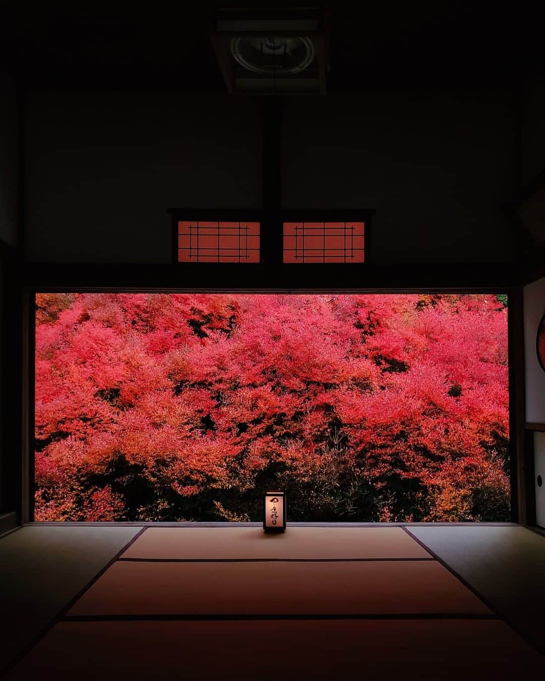Galaxy Mobile Japanさんのインスタグラム写真 - (Galaxy Mobile JapanInstagram)「#GalaxyNote10Plus で、まるで絵画のような紅葉が撮れました😍 有名な安国寺のドウダンツツジです🍁 皆さんは、今年の秋も素敵な紅葉写真が撮れましたか？お気に入りの一枚は、冬になる前にぜひ #Galaxyカメラ部 をつけて投稿してくださいね♪ 📸#GalaxyNote10+ #withGalaxy Photo by @_tuck4 ・ ・ ・ #兵庫 #豊岡 #安国寺 #但馬安国寺 #兵庫旅行 #兵庫観光 #紅葉 #紅葉🍁 #🍁 #ドウダンツツジ #ツツジ #紅葉狩り #寺社仏閣 #寺社巡り #日本の景色 #日本の絶景 #日本の美 #hyogo #toyooka #Galaxyカメラ部」11月30日 17時00分 - samsungjpn