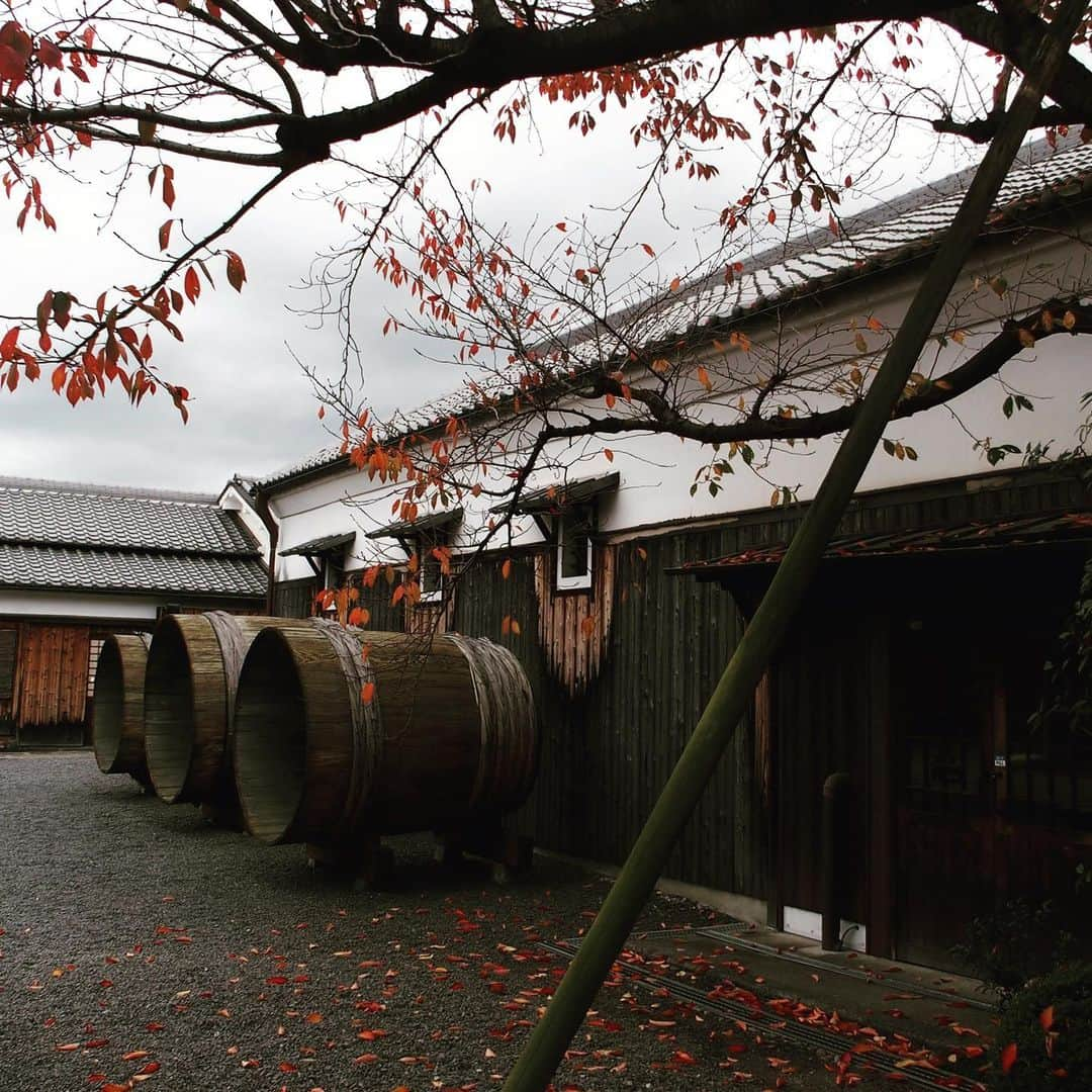 Gekkeikan Sake Officialのインスタグラム：「#autumn #autumnleaves #autumncolors #colorful #gekkeikan #gekkeikansake #sake #sakebrewery #japan #kyoto #fushimi #紅葉 #月桂冠 #月桂冠大倉記念館 #酒蔵 #十石舟 #京都 #伏見」