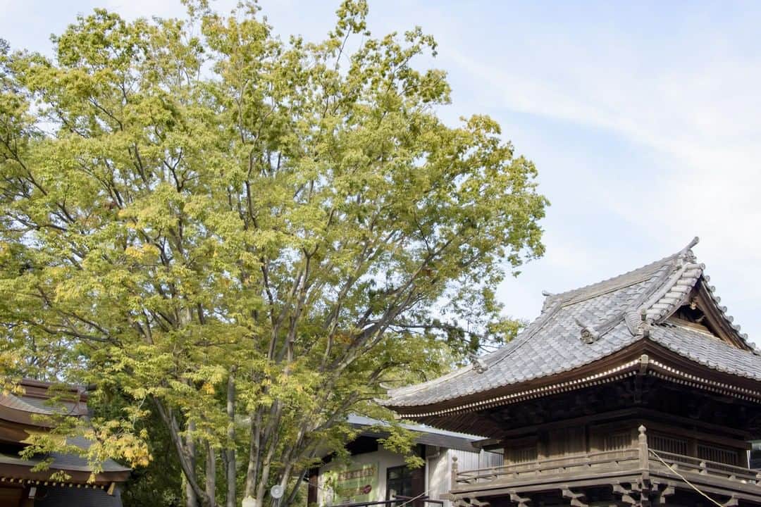 のインスタグラム：「「大國魂神社・鼓楼 / Ookunitamajinjya Korou（府中市宮町）/ (2019.10.23撮影)」 最寄駅：府中駅 　#大國魂神社　#鼓楼  #府中市　#相撲場　#旧甲州街道　#Ookunitamajinjy　#Fuchiyu_city　 #beautifuldestinations #tokyotrip #tokyotravel #passionpassport #tokyojapan #instatokyo #loves_nippon #phos_japan #bestjapanpics #cooljapan #japan_of_insta #discovertokyo #photo_jpn #東京観光 #東京旅行 #illgrammers #景色 #お出かけ #東京 #Tokyo #东京 #도쿄 #tokyogood」