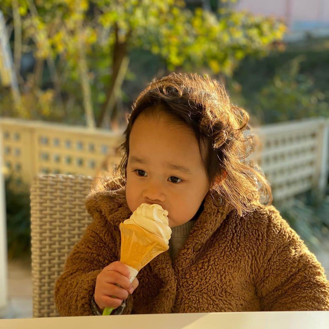伊津野亮さんのインスタグラム写真 - (伊津野亮Instagram)「寒くてもソフトクリーム #小谷流の里ドギーズアイランド  #八街茶シフォンケーキ #父と娘の大好物 賑わってます！ ドギーズアイランド」11月30日 17時36分 - ryoizuno