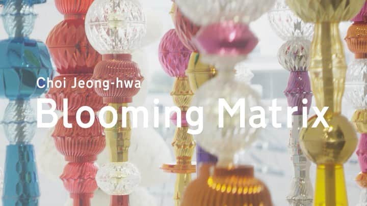 HiRAO INCのインスタグラム：「. Choi Jeong Hwa Blooming Matrix  チェ・ジョンファ さんのエキシビションのビデオができました。 マドモアゼル・ユリアちゃんが チェ・ジョンファ さんと作品について話をします。  チェジョンファ さん、ホント、素敵なんですよ。 大好きだなー  @choijeonghwa_official  @mademoiselle_yulia  @gyre_omotesando . @hiraoinc」