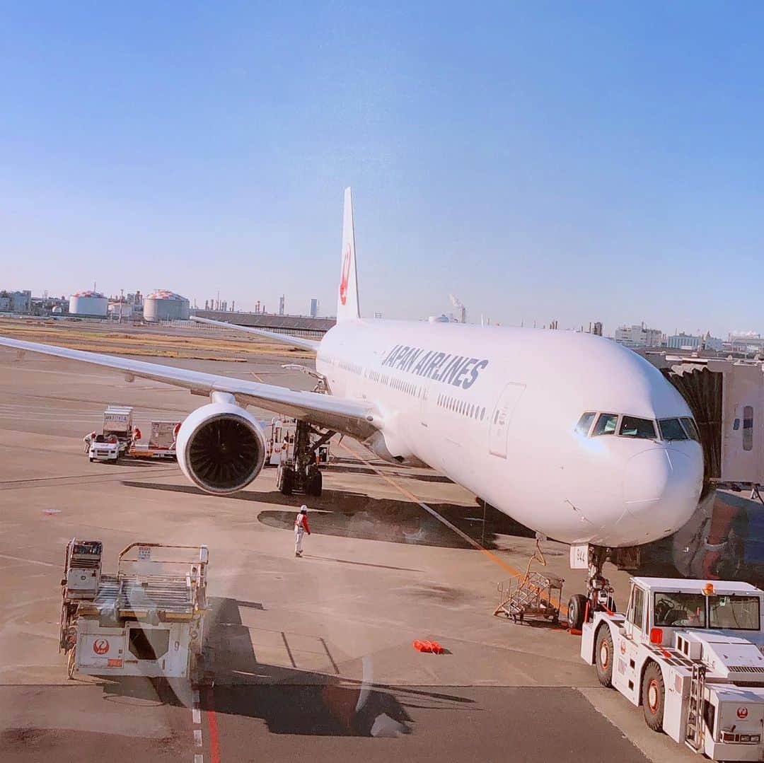 美馬怜子のインスタグラム：「早起きして空港へ✈️💕 . 朝からカレーうどん食べちゃった😳🍛✨ 寝不足は、機内で解消させようっと💤 おはようございます😃だけど おやすみなさい😴💖 . #trip #hanedaairport #jal #ilovetravel」