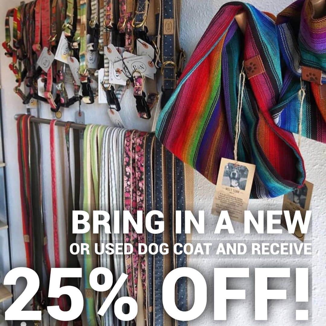 Dogs by Ginaのインスタグラム：「Tomorrow 9-5! Donate your dogs old coat and receive 25% off. (Retail only) Coats will be donated to @napahumane. 🖤🐾」