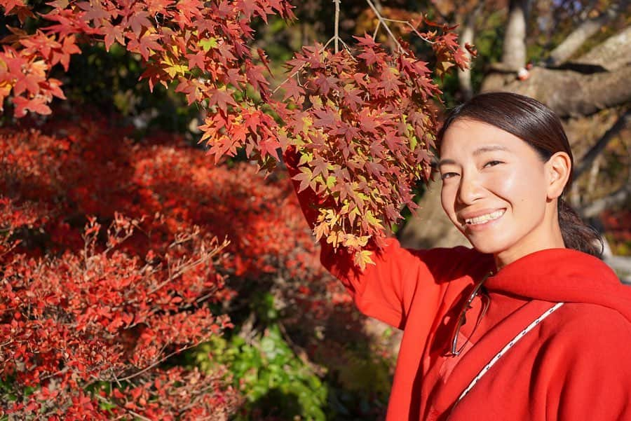 坂口由里香さんのインスタグラム写真 - (坂口由里香Instagram)「今シーズンもたくさんの応援やサポート ありがとうございました😌 来シーズンに向けて 大阪にある勝尾寺に行ってきました🍁 だるまがあちこちにいて、とても素敵なお寺でした😆 来シーズンもひとつひとつ頑張りますので 引き続き応援よろしくお願いします！！ . . #大樹グループ #ファイテン株式会社(@phiten_official ) #シエスタ (@yukasiesta ) #ユサナ #USANAathlete #TeamUSANA (@usana_inc @usanajapan @usanaathletes ) #アグレッシブデザイン(@aggressive_design.official ) #アスリチューン (@athletune ) #ドクターエビーゼ #ベアハグ . #ビーチバレー #アスリート #スポーツ #大阪 #勝尾寺 #日本 #紅葉 #だるま  #beachvolleyball #athlete #sports #osaka #katsuoji #japan」11月30日 9時58分 - yurika_sakaguchi